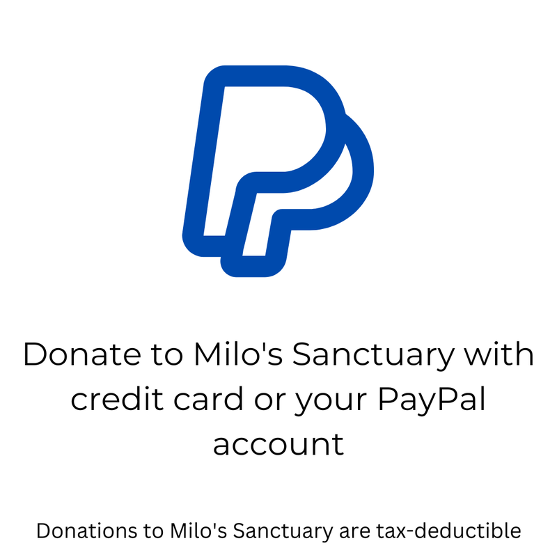 Donate with PayPal