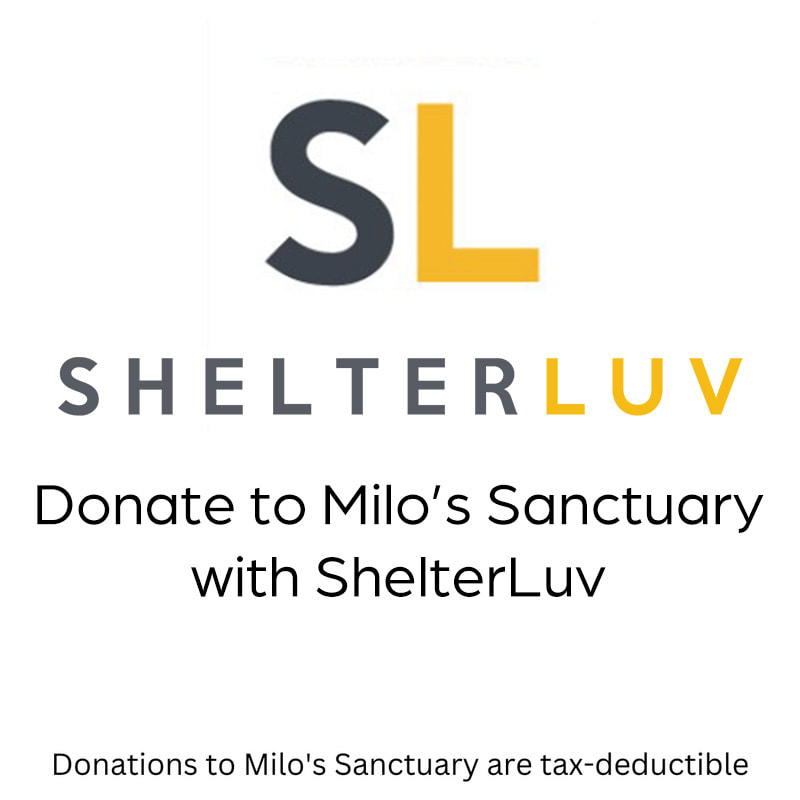 Donate with ShelterLuv