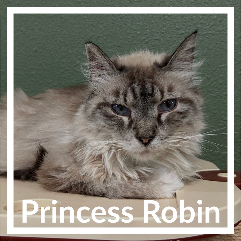 Princess Robin